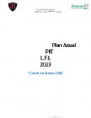 Plan anual PIE