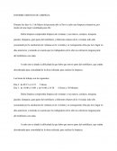 FOL Informe sobre limpieza