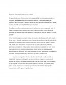 Reseña de la película Estrellas en la tierra