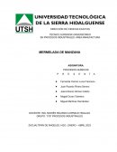 Desarrollo “Mermelada de manzana”