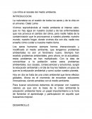 Los niños al rescate del medio ambiente