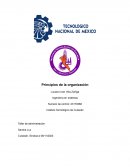 Principios de la organización