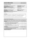 Guia de observación “Cliente Oculto”