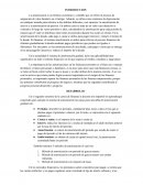 La importancia de las amortizaciones