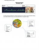 Clasificar los alimentos, distinguiendo sus efectos sobre la salud y proponer hábitos alimenticios saludables