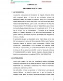 Declaración de Impacto Ambiental . Proyecto