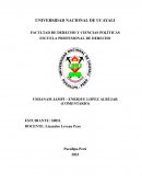 Resumen, Ushanam Jampi