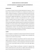 Resumen cientifico del Pum Pin Fajardino