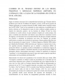 Cambios en el trabajo dentro de las micro, pequeñas y medianas empresas (MiPYMES) en Catemaco