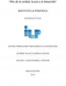 Lesiones premalignas y malignas de la cavidad oral