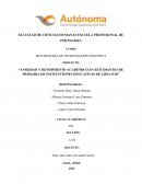 Ansiedad y rendimiento académico en estudiantes de primaria