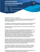 Ensayo síntoma, inhibición y angustia