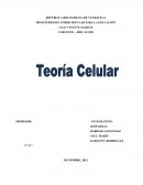Teoría Celular