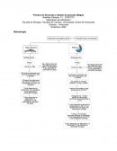 Ahumado y salado de pescado (Bagre)