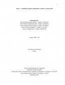 Identificar impactos ambientales, sociales y normas NIIF