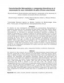 Caracterización fisicoquímica y compuestos bioactivos en el mesocarpio de once variedades de palta (Persea americana)