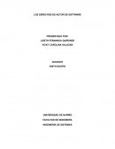 Los derechos de autor de software