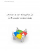 Actividad 1 El vuelo de los gansos. Las coordenadas del trabajo en equipo