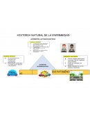 Accidentes automovilisticos. Promoción de la salud: