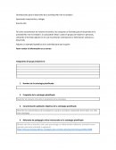 Orientaciones para el desarrollo de la actividad No 4 de la Unidad II