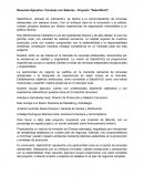 Resumen Ejecutivo: Cervezas con Sabores - Proyecto "SaborDAJU"