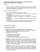 Pautas orientadoras Integrador Psicomotricidad