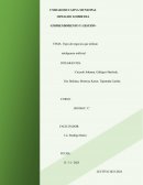 Tipos de negocios que utilizan inteligencia artificial