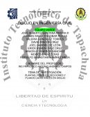 Plantas, perfiles, secciones y planos catastrales en dibujo