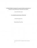 El proceso de pruebas para un sistema de ventas