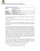Tarea 1 Informe ejecutivo