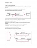 Administración modulo. La planificación a largo plazo