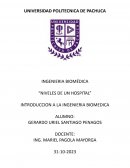 Niveles de un hospital