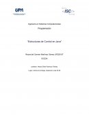 Estructuras de Control en Java