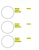 Guia práctica de biología