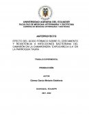 Anteproyecto efecto del ácido fórmico sobre el crecimiento y resistencia a infecciones bacteriana del camarón
