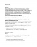 Formulación y Evaluación del proyecto, programa o Estrategia