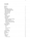 Material Requierement Planning