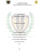 Tcc finanzas públicas territoriales