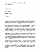 Informe Proceso de adaptación