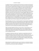 Un Camino Sin regreso