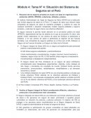 Situación del Sistema de Seguros en el Perú