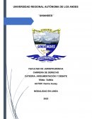 Como se aplica la argumentación jurídica en la litigación oral