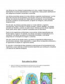 Tipos de células y sus componentes