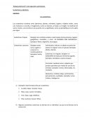 Sustantivos y adjetivos. Actividades