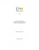 La Comercial Mexicana