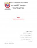 Informe SMED, proyecto de negocios, Equipo 4