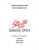 Proyecto Chamoy de flor de Jamaica
