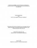 Alternativas a los CFCs en la industria de los poliuretanos