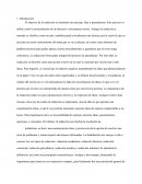 Ensayo de estilos de redacción