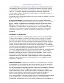 Las investigaciones de marketing